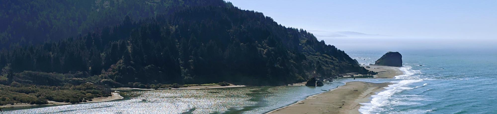 Sandy spit extending into the ocean with waves on both sides, seen from a vegetated bluff